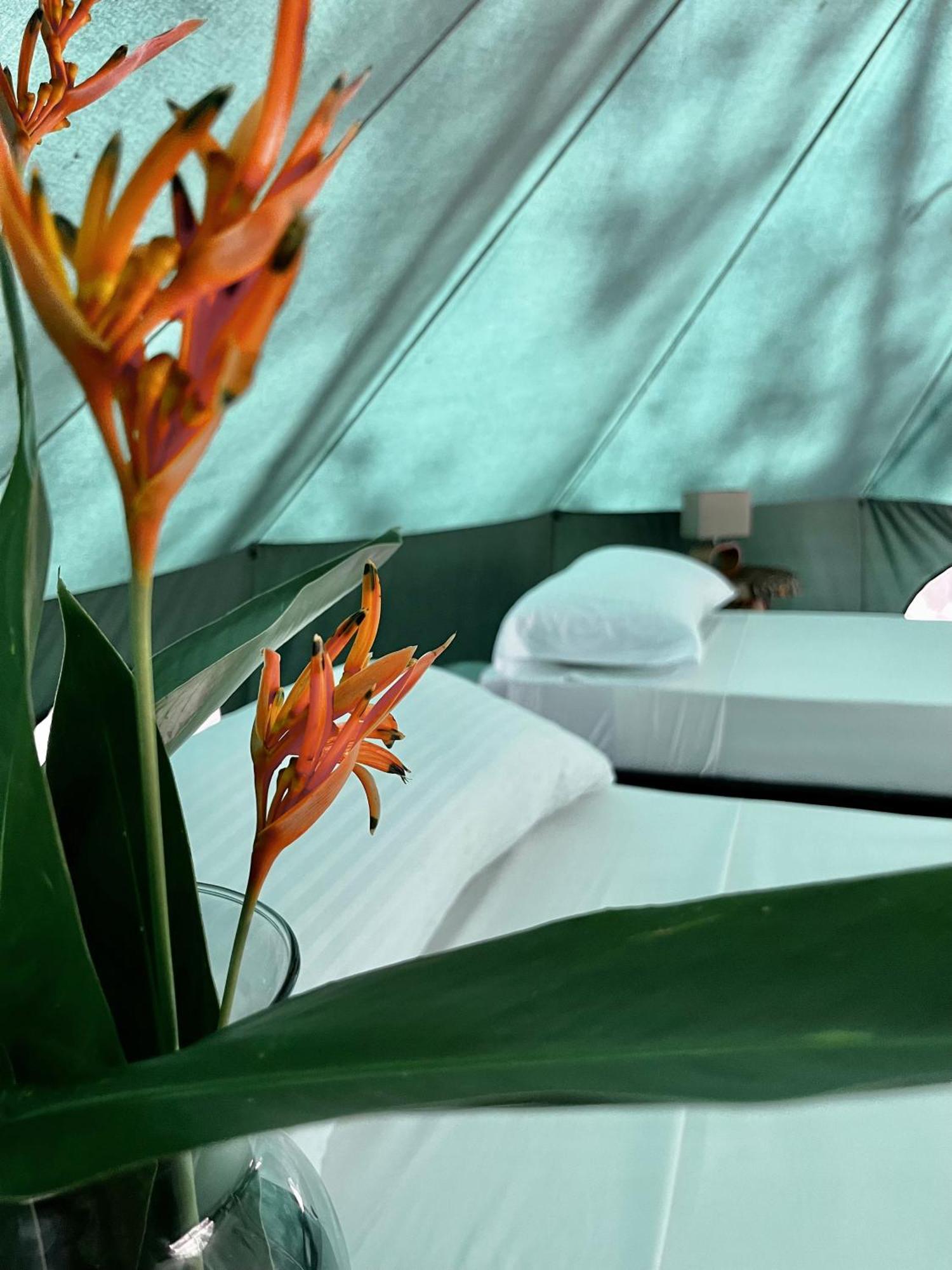 One Santuario Hotel Y Reserva Natural Palomino Rum bild